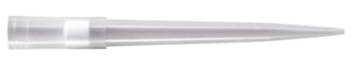 02707008 | 1000ul Lr Tip Ster Fltr 960/pk